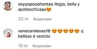 Captura de pantalla // Comentario Instagram