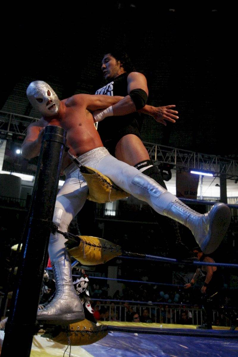 Hijo del Perro Aguayo