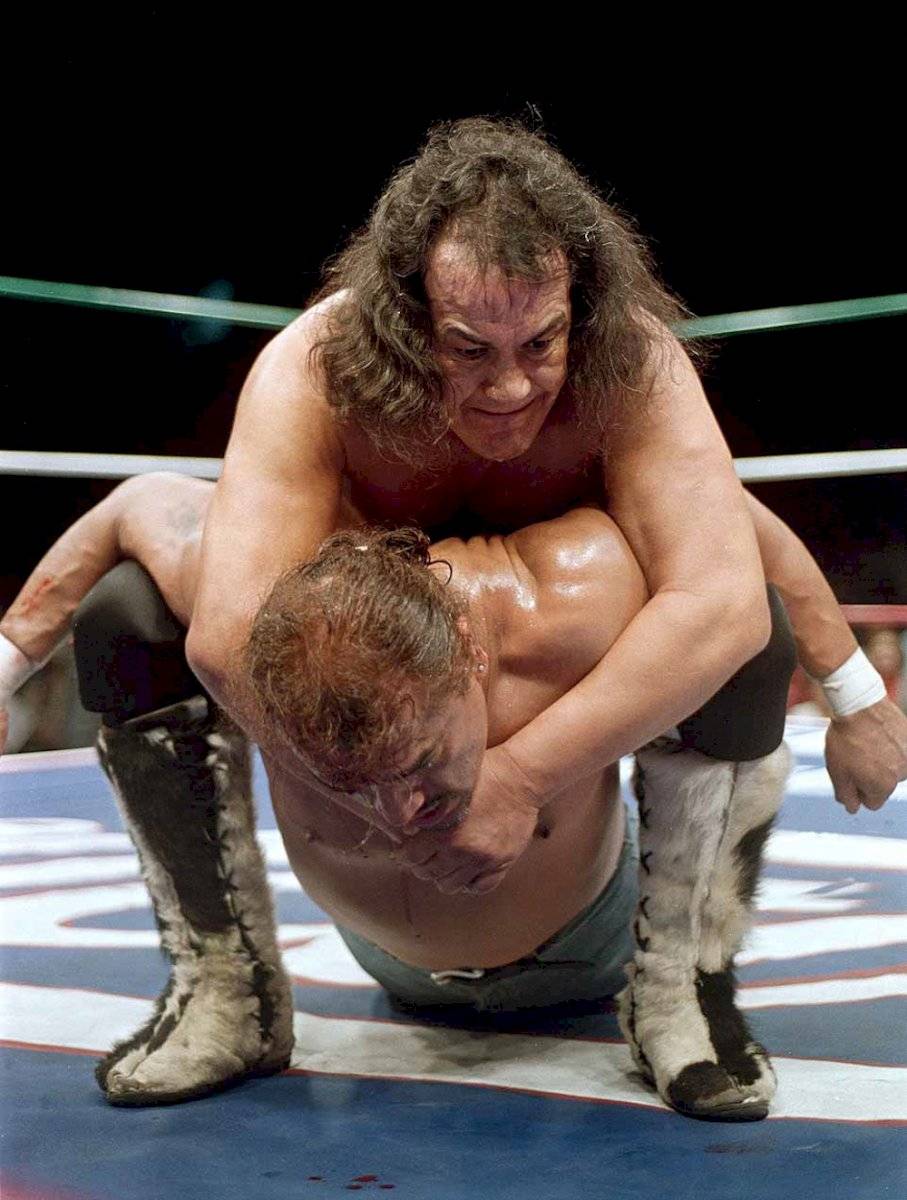 Perro Aguayo