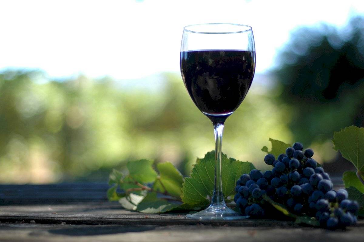 Ruta del Vino