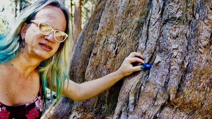 Brigitte Baptiste Brigitte Baptiste se convierte en la primera mujer trans en ser rectora de una universidad en Colombia