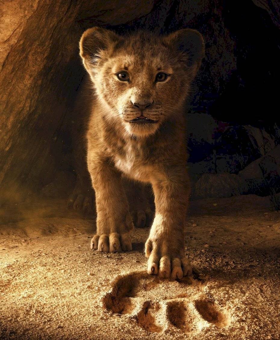 Rey León