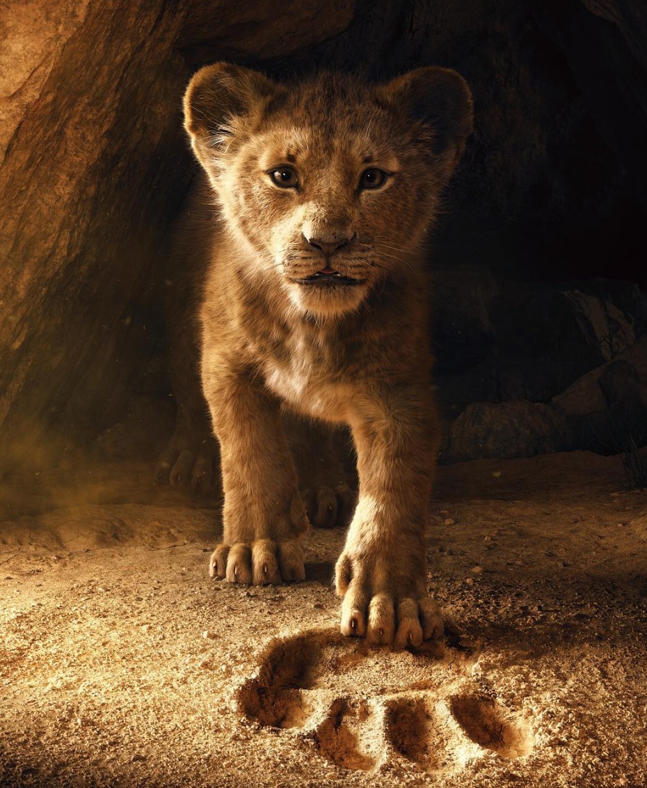 Rey León Rey León