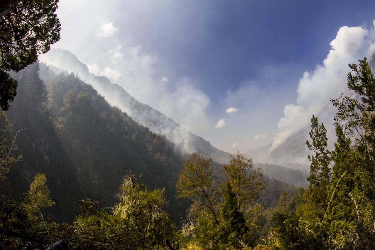 incendio bosque