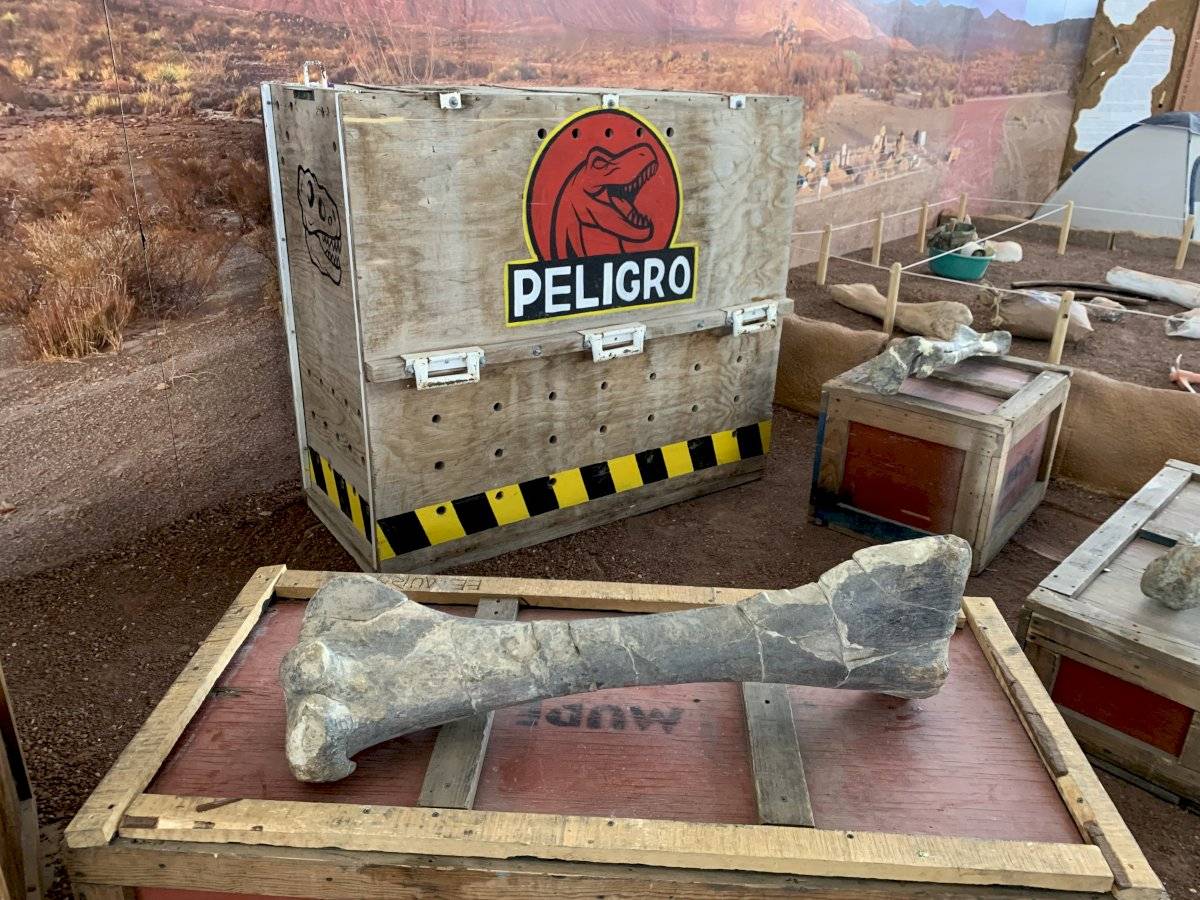 Encuentro con DInosaurios