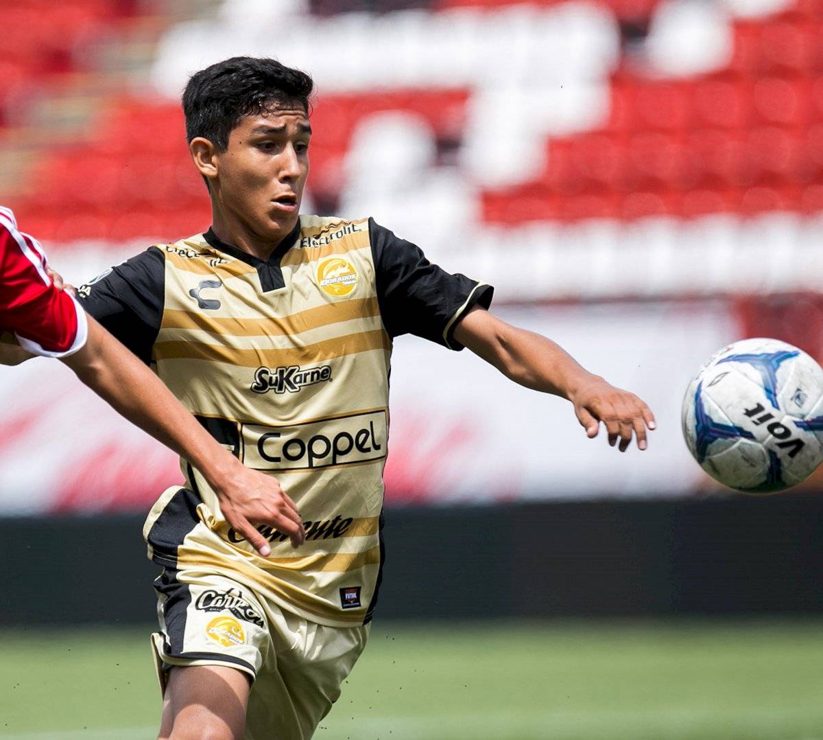 DORADOS
