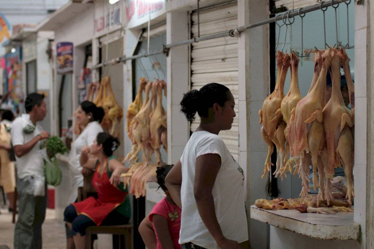 pollo