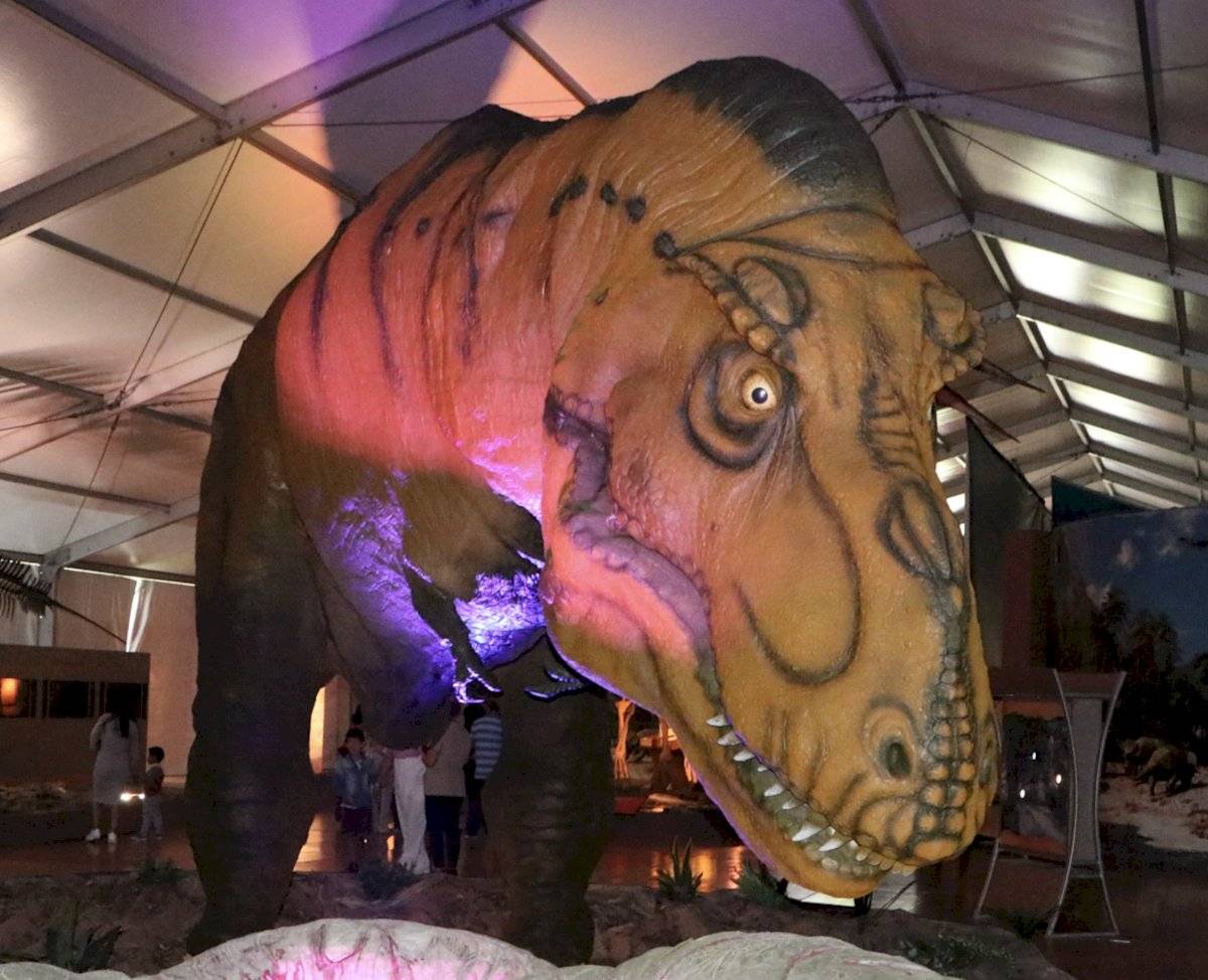T REX