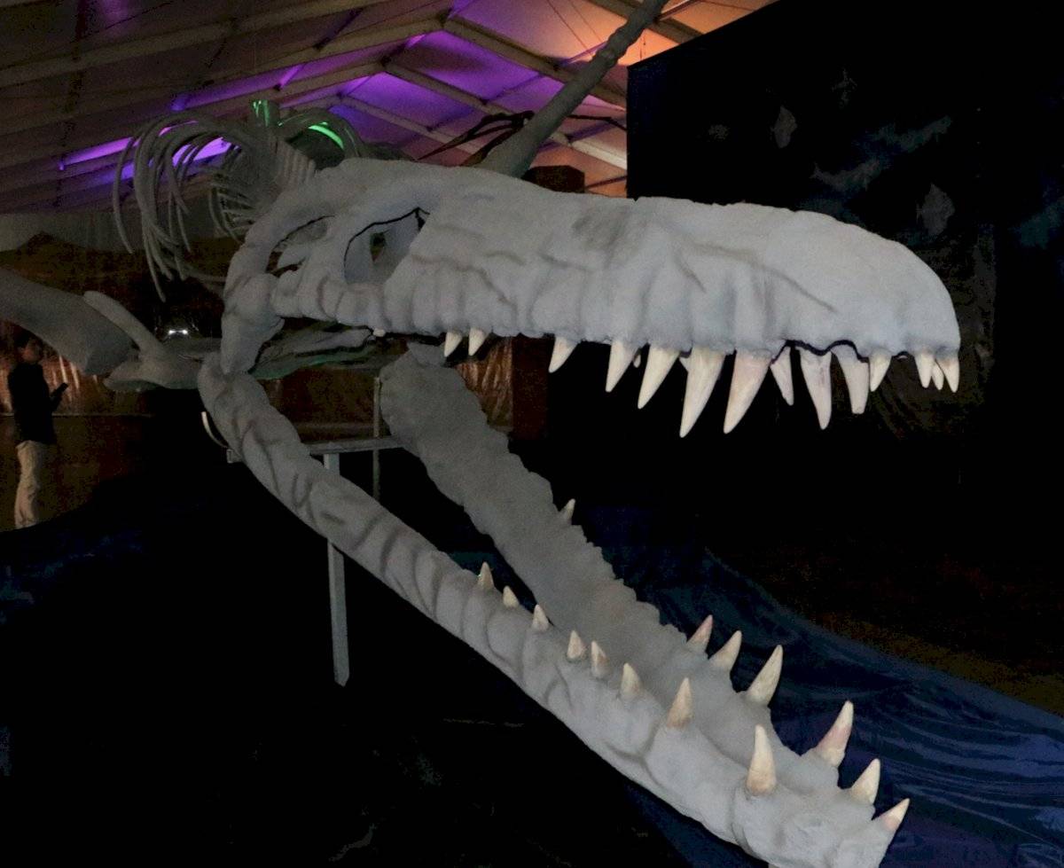 Parque itinerante de dinosaurios