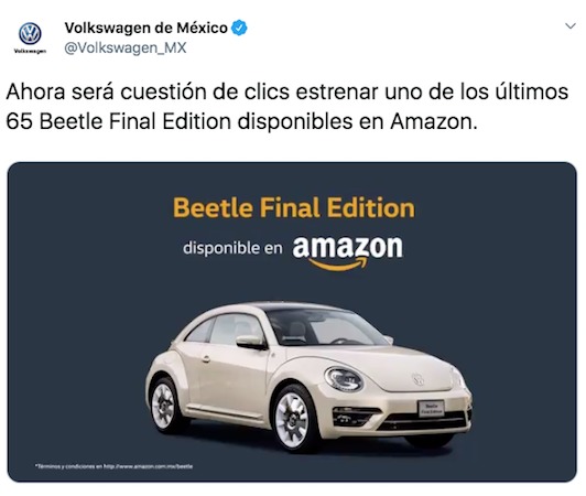 Amazon Beetle