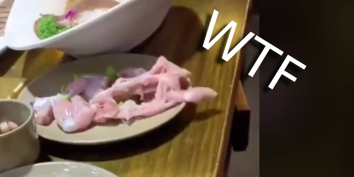 Video de un pollo zombie se vuelve viral en Facebook e Instagram