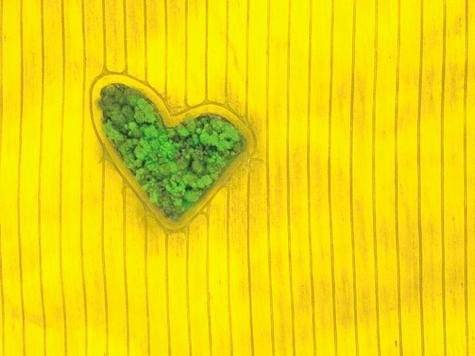 3 “Isla de amor”