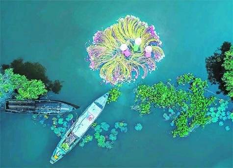 Flores en el agua