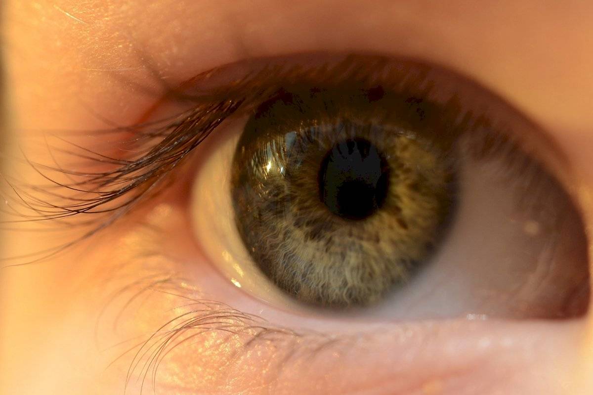 lentes de contacto