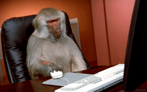giphy-d86218aca73901d1f99ca1b058d9cd05.gif
