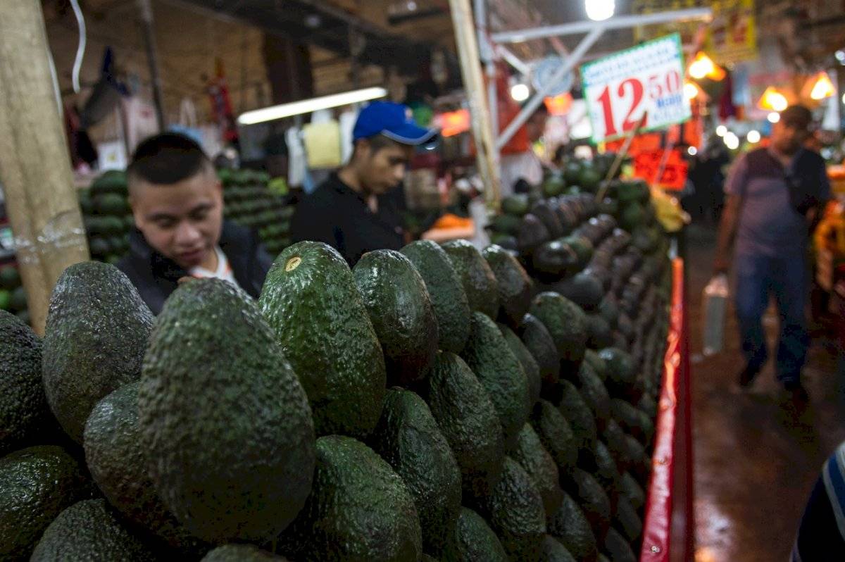 aguacate