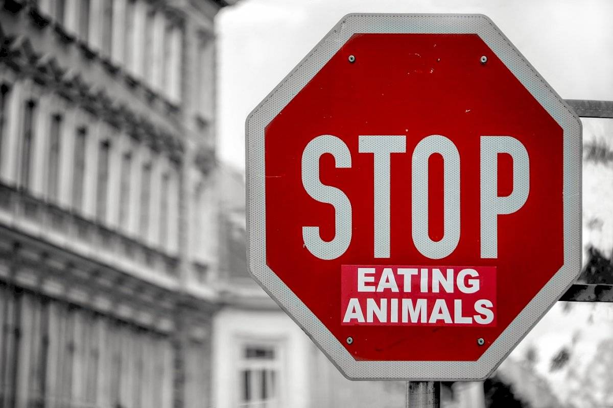 Las carnes rojas tendrían directa relación con el calentamiento global según la ONU