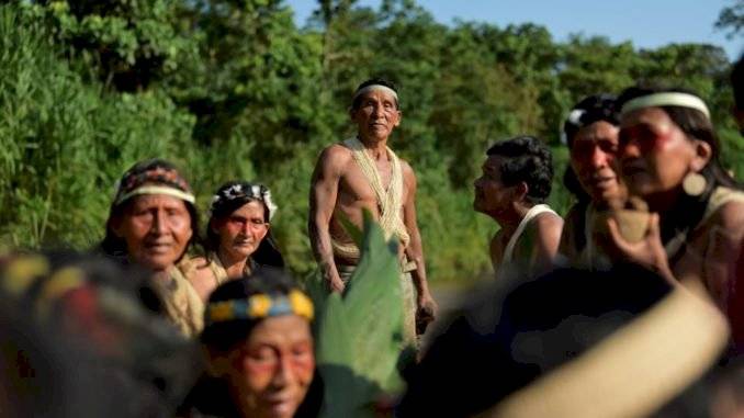 Artistas ecuatorianos exhibirán obras por la salvación de la naturaleza