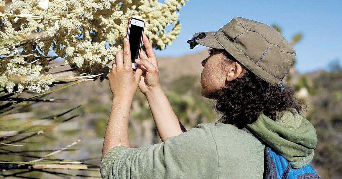 iNaturalist