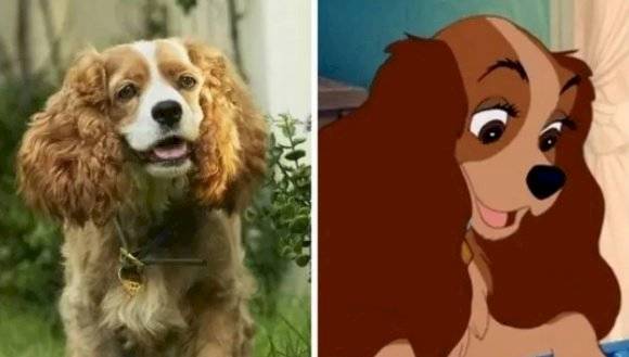 A Dama e o Vagabundo, live-action