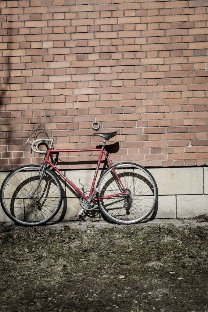 bicicletashipste-3cd5f774bea30188905efc8de83ce30d.jpg