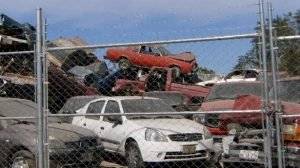 corralocc81n1130-06259e089f8f5a67ce5468a82eb33a9d.jpg