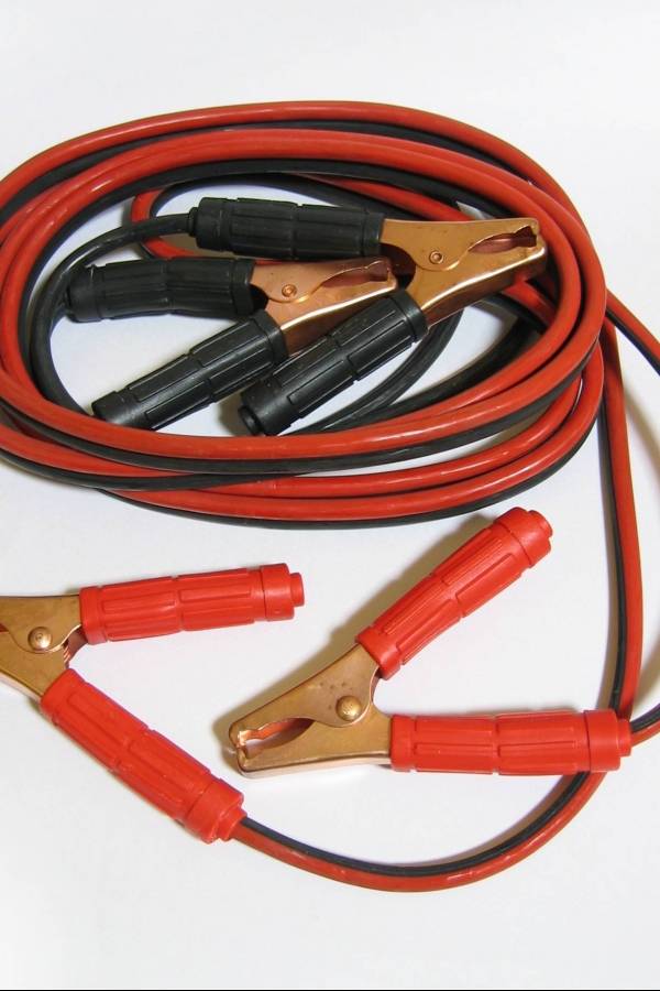 articc81culoscab-20fe0be2e077ed3e1b395fd3bb11790a.jpg
