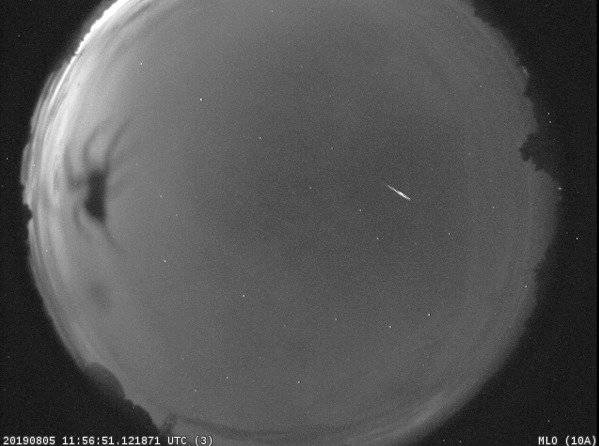 araña perseidas