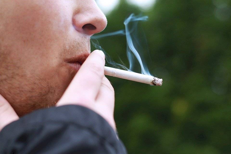 fumar1-840b0c1831988b1f546b4e4b41aa1c09.jpg