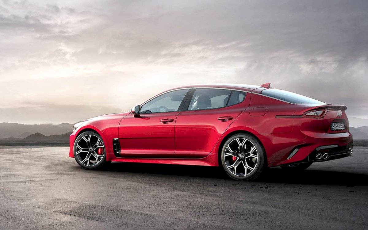 kiastinger8-7687384b17c5a20c5ceeba9119c662ec.jpg