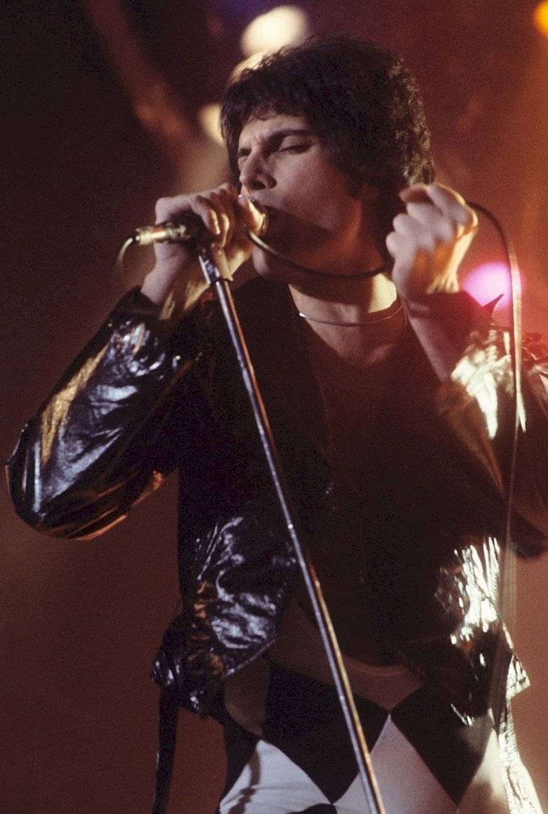 800pxfreddiemerc-4d412fc7cd3e058b866ee1fa73e8eb1b.jpg
