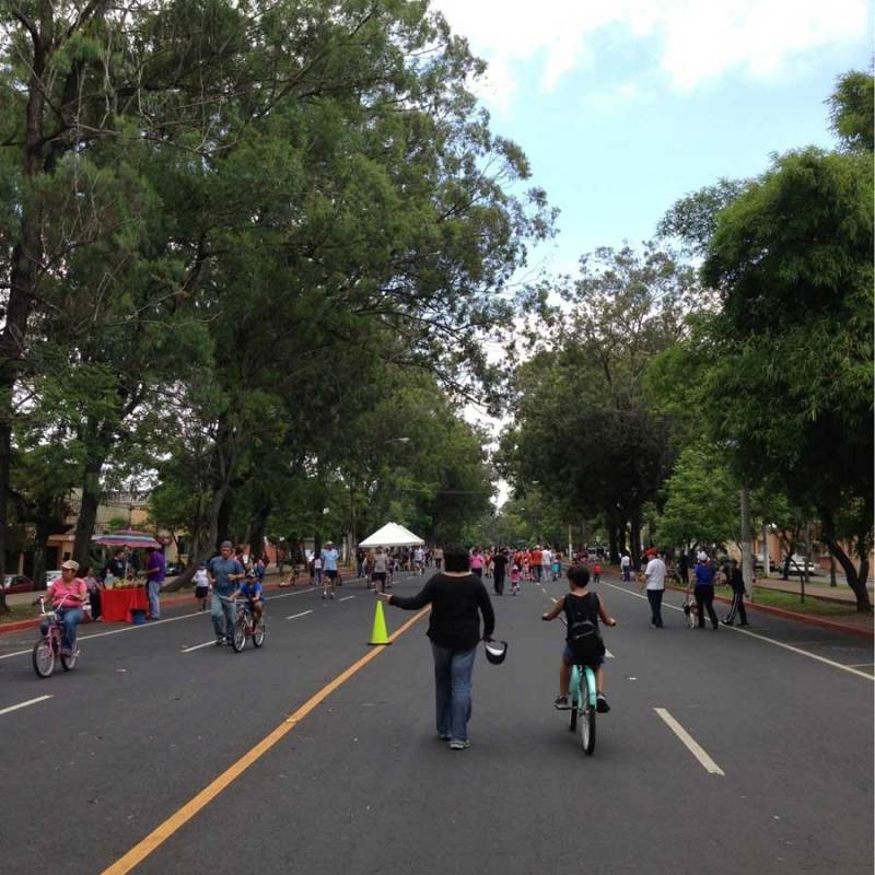 Avenida Simeón Cañas