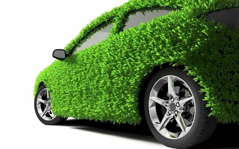 auto naturaleza