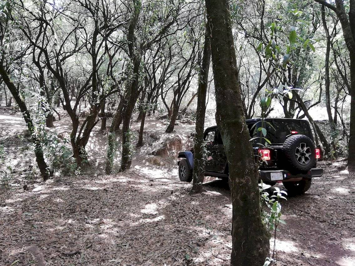 jeepymopar9copia-0f81b6c84a535222bef74b8fa296a766.jpg