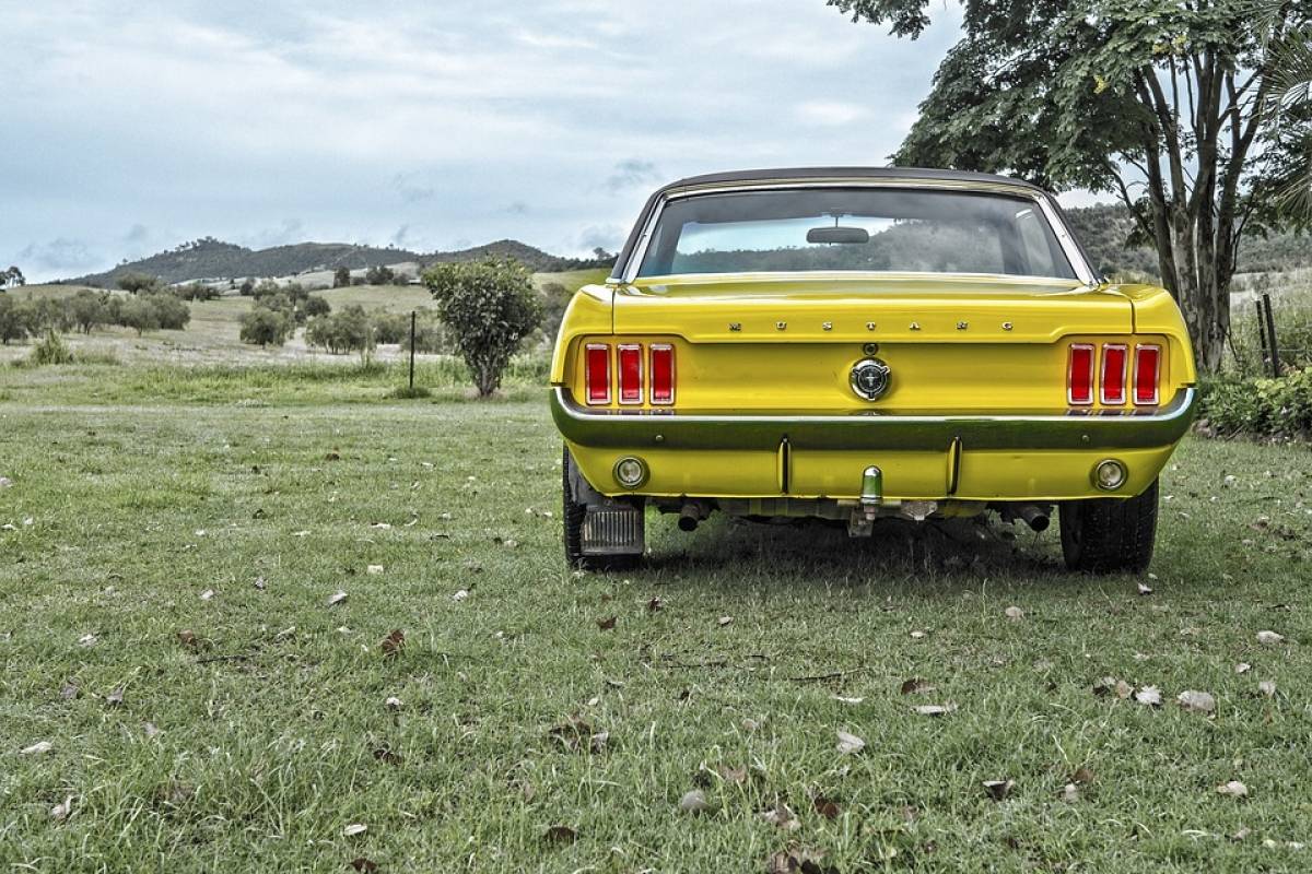 Cmo Asegurar Auto Americano Rastreator Mx