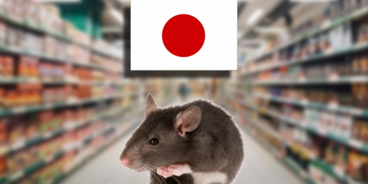 Japón: Graban un supermercado infestado de ratas enormes