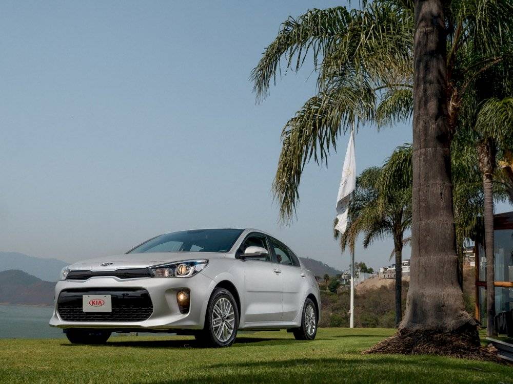 kiariosedacc81n2-9459d271c548c683d59071cac1544508.jpg