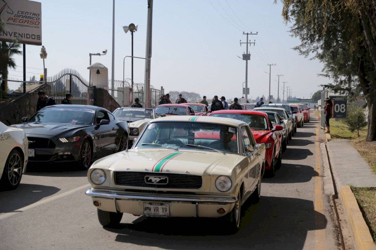 mustang2-35ca889cbec80ee5203d88d4b51bd10a.jpg