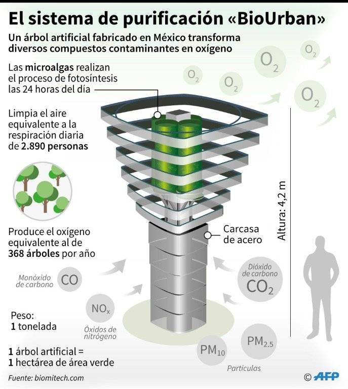 árbol