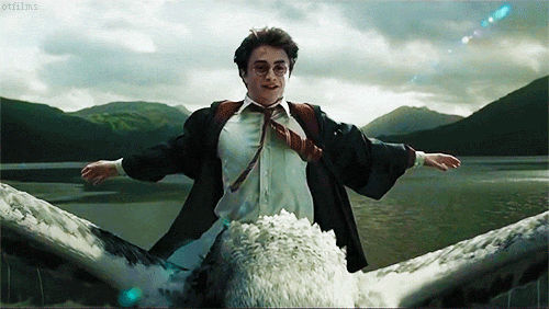 Pandora Harry Potter