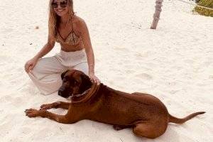 Mayte Rodríguez viajó con su perro en avión y generó molestia en pasajero: