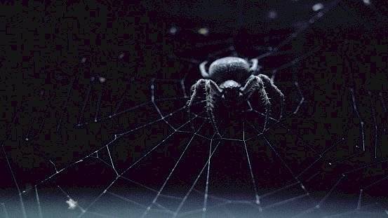 araña