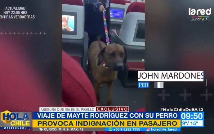 Hola Chile Mayte Rodríguez