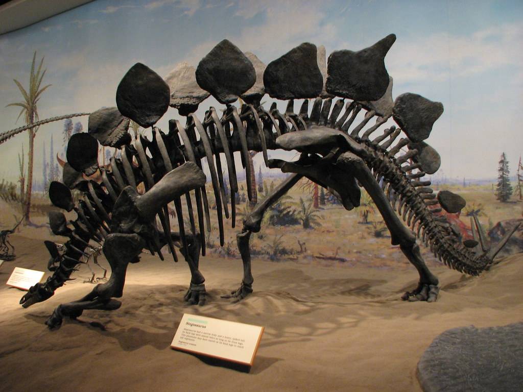 Estegosaurio Estegosaurio