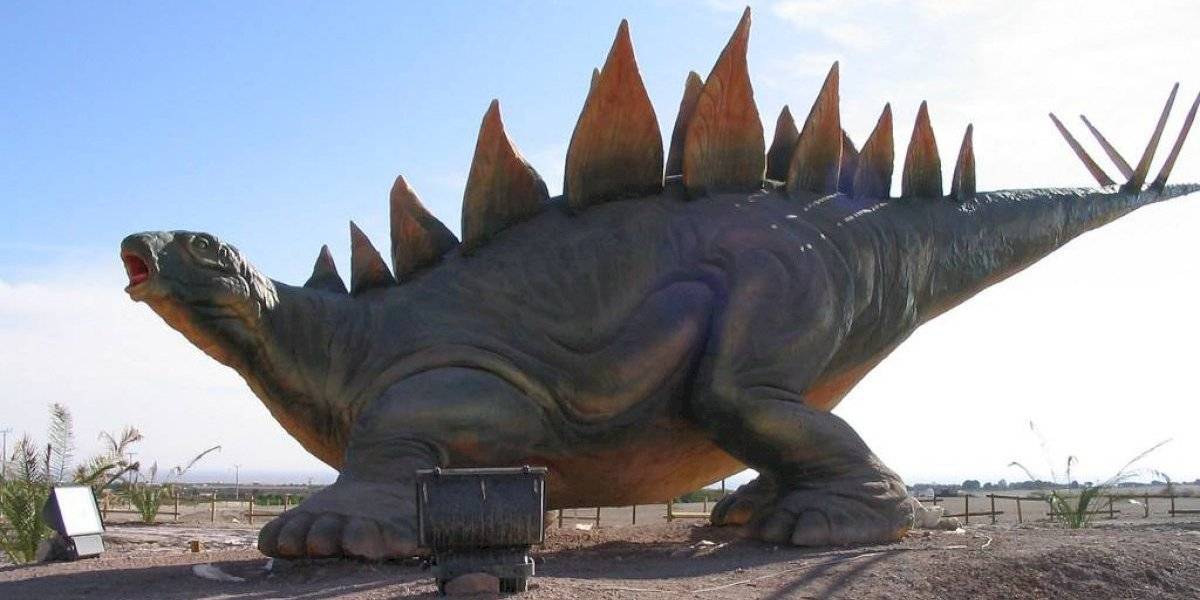 Este sí que es dinosaurio: Descubren la especie de Estegosaurio más antigua
