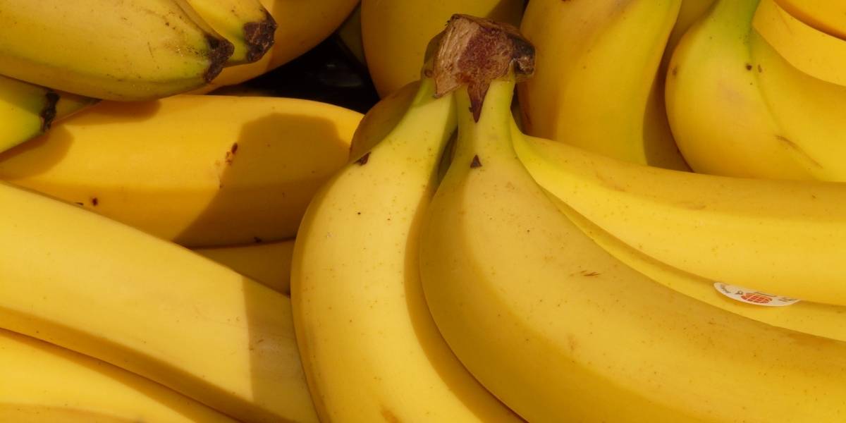 Un terrible hongo amenaza la existencia del banano que se cultiva en toda Latinoamérica