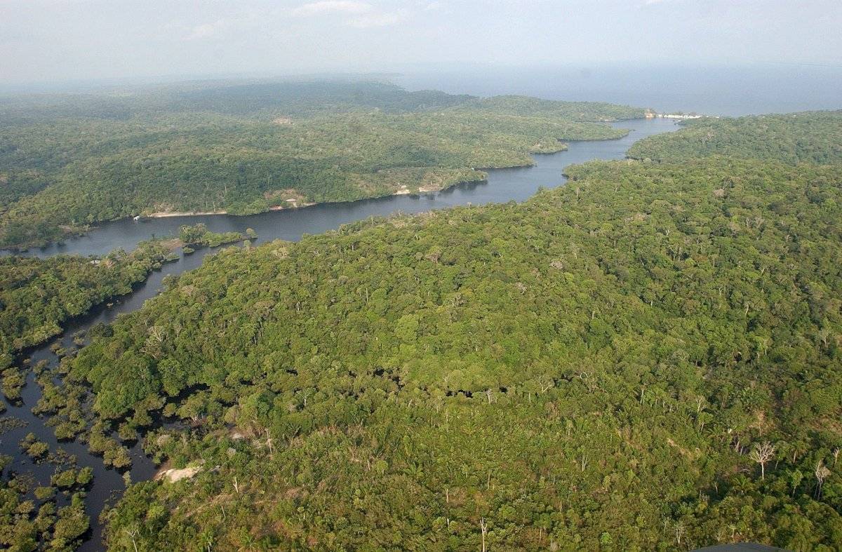Amazonas