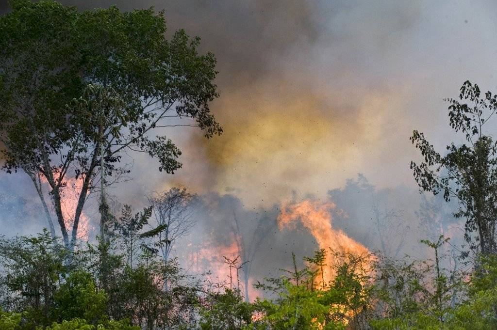 Incendios en la Amazonía