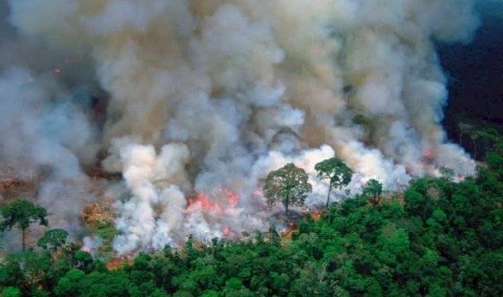 incendio del Amazonas