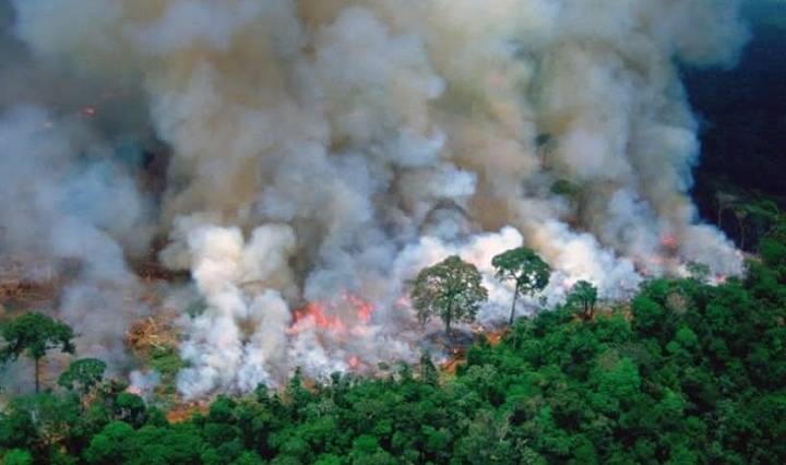 incendio del Amazonas incendio del Amazonas